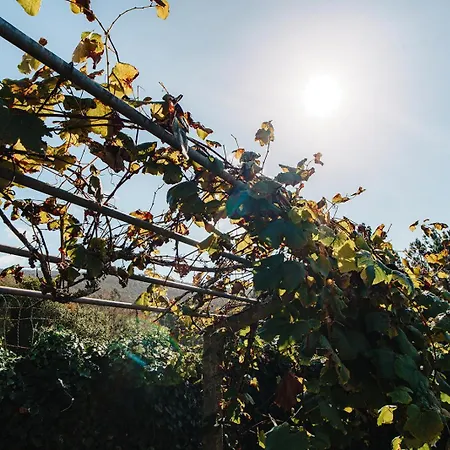 O Fogar Do Carpinteiro Gasthof