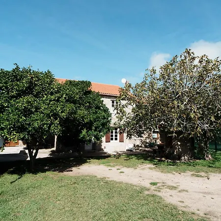 O Fogar Do Carpinteiro 4*