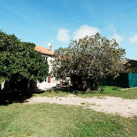 O Fogar Do Carpinteiro Карнота