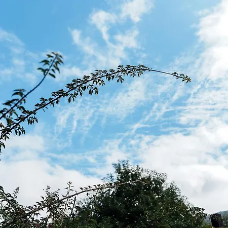 O Fogar Do Carpinteiro Carnota