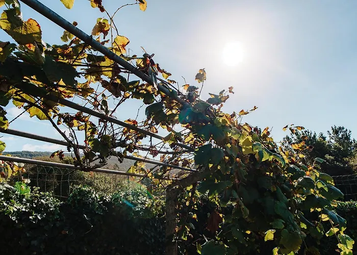 O Fogar Do Carpinteiro Гостевой дом