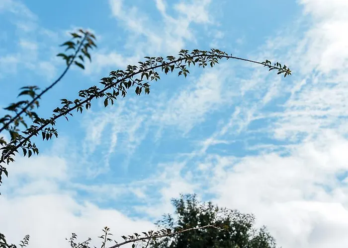 O Fogar Do Carpinteiro Карнота